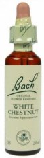 Bach Bloesem 35 White Chestnut ( Paardenkastanje ) 10 ml